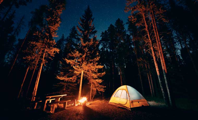 Forest Camping