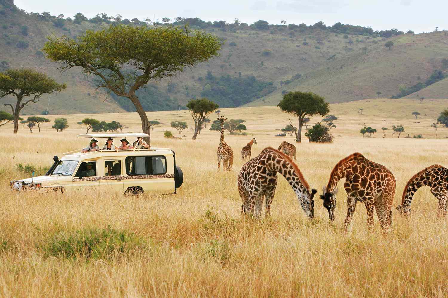 Safari in Kenya